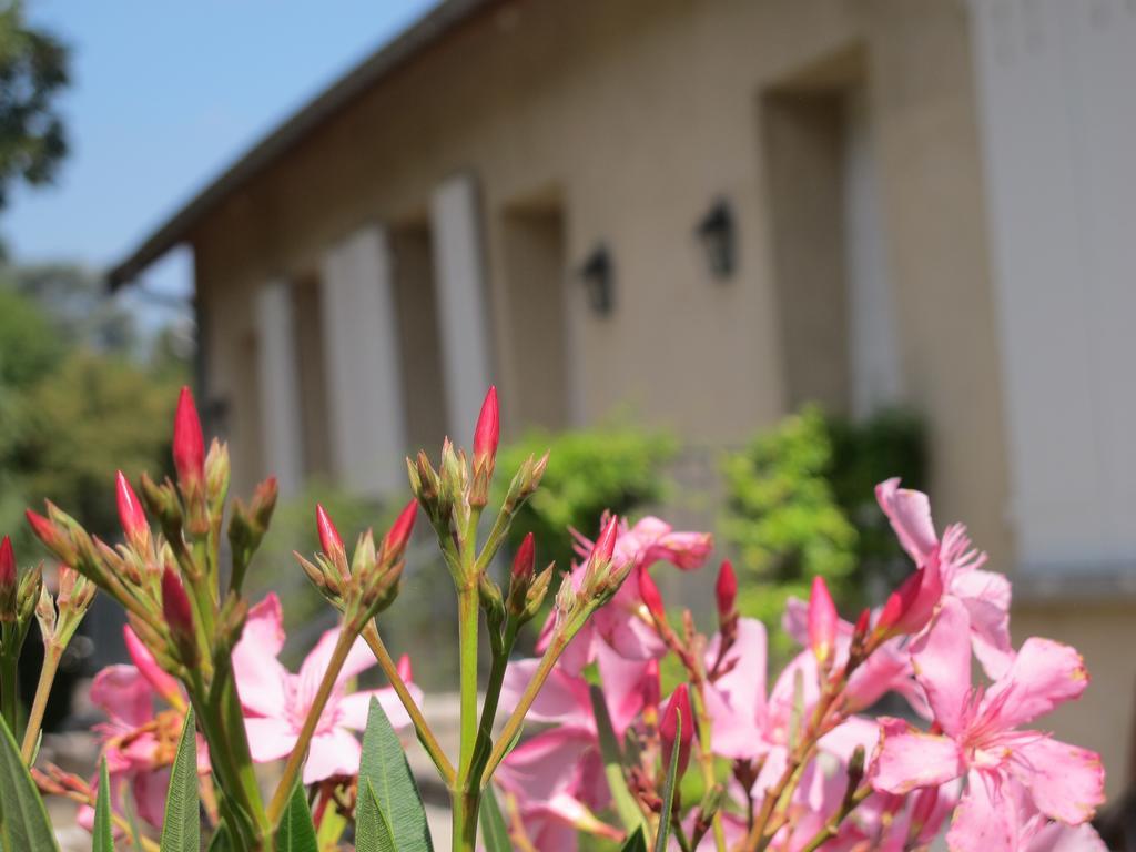 Apartament Les Communs Du Manoir Écully Pokój zdjęcie