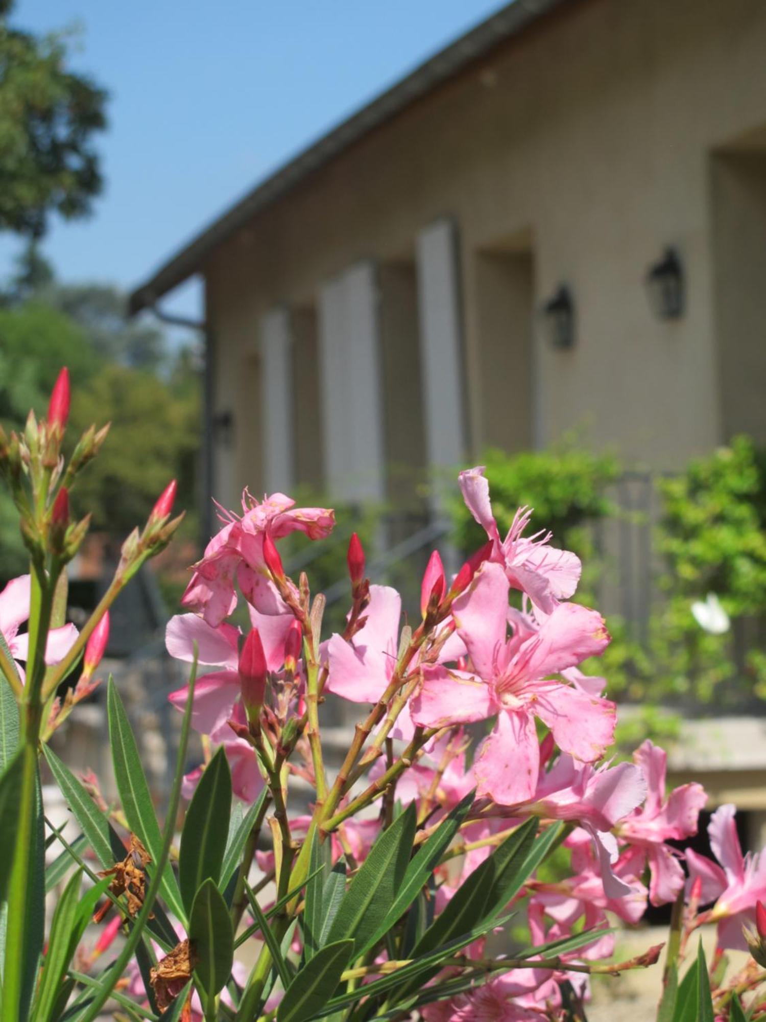 Apartament Les Communs Du Manoir Écully Pokój zdjęcie