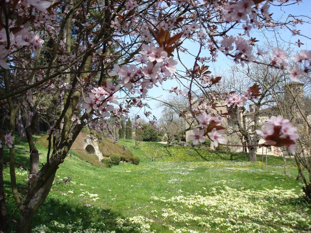 Apartament Les Communs Du Manoir Écully Zewnętrze zdjęcie