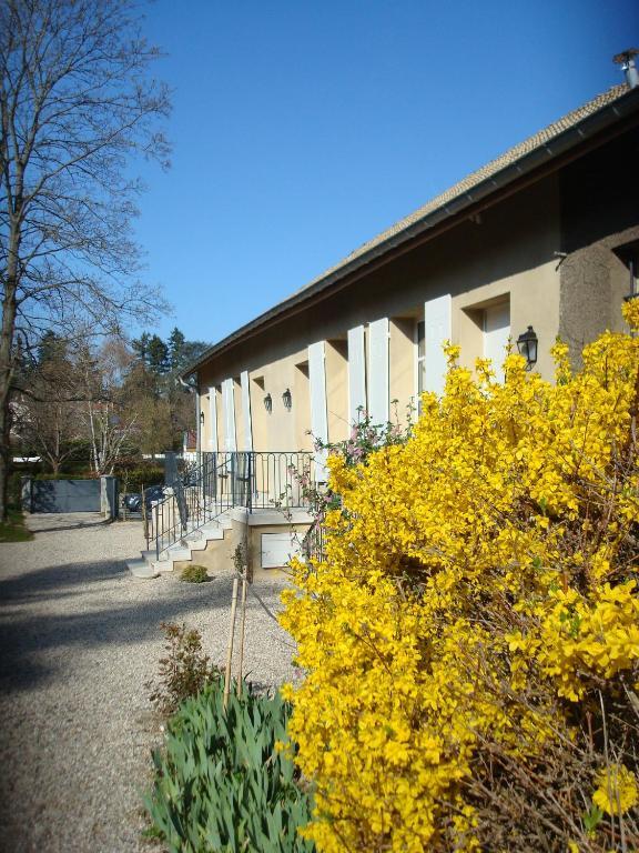 Apartament Les Communs Du Manoir Écully Zewnętrze zdjęcie